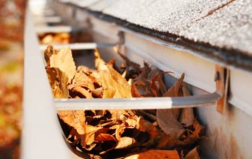 Upper Drummond gutter cleaning companies