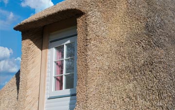 Upper Drummond thatch roof disadvantages